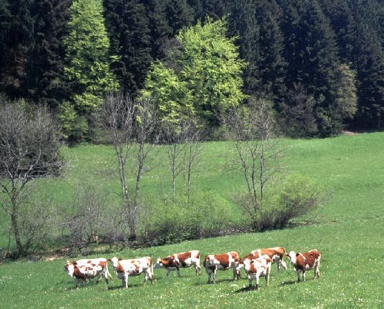 vacances Doubs ----
