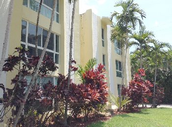Photo N1:  Appartement da Bay-Harbor-Islands Vacances Miami-Beach Floride USA us-8683-1